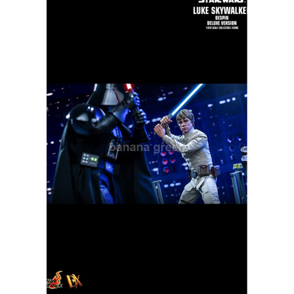 핫토이 Hottoys DX25 스타워즈 1/6 루크 스카이워커 BESPIN 디럭스