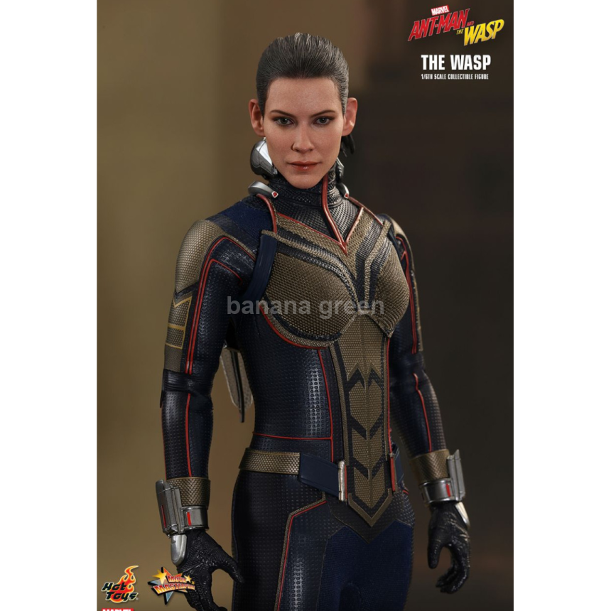 핫토이 HOTTOYS MMS498 앤트맨2 1/6 WASP 와스프