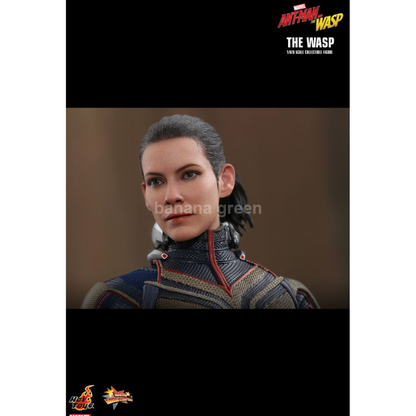 핫토이 HOTTOYS MMS498 앤트맨2 1/6 WASP 와스프