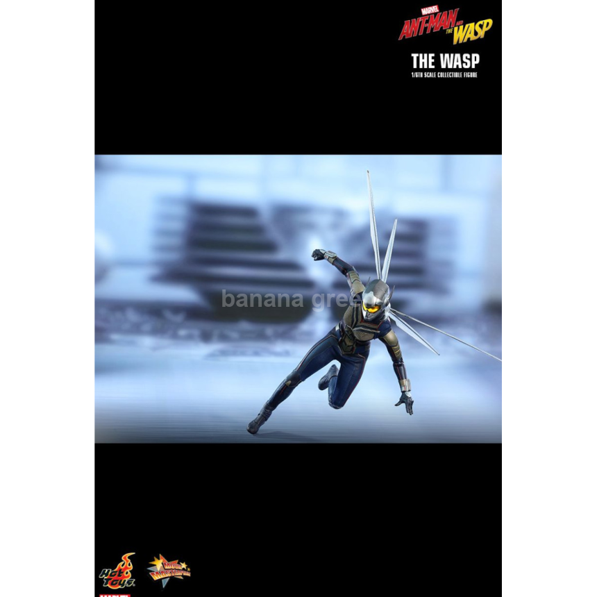 핫토이 HOTTOYS MMS498 앤트맨2 1/6 WASP 와스프