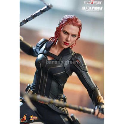 핫토이 Hottoys MMS603 마블 1/6 블랙위도우