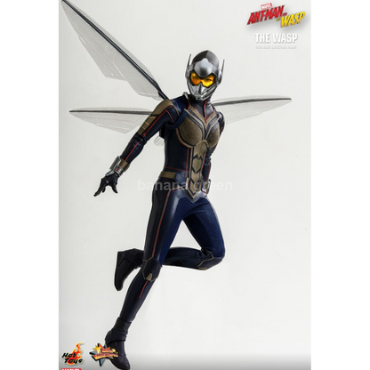 핫토이 HOTTOYS MMS498 앤트맨2 1/6 WASP 와스프