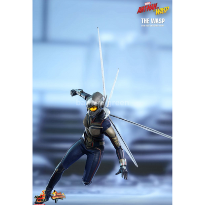 핫토이 HOTTOYS MMS498 앤트맨2 1/6 WASP 와스프