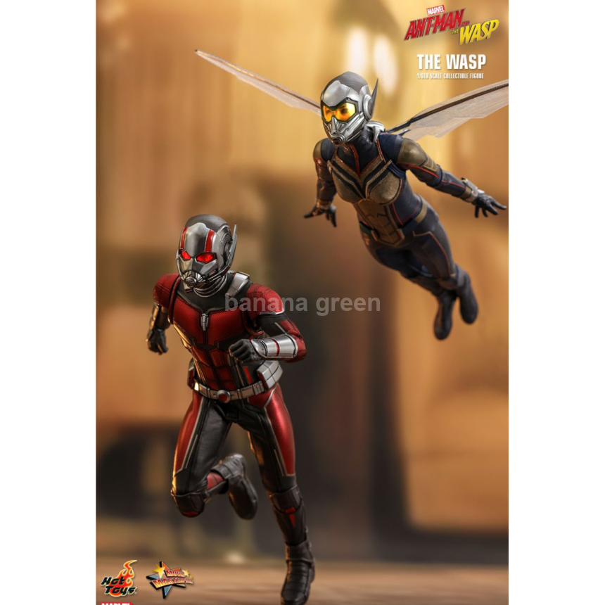 핫토이 HOTTOYS MMS498 앤트맨2 1/6 WASP 와스프