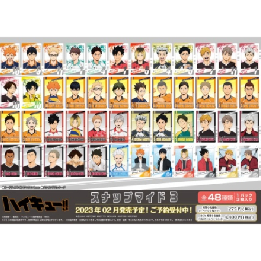 엔스카이 하이큐 스냅마이드 3탄