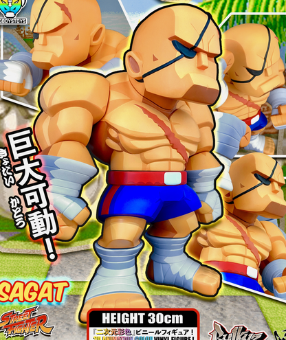 BigBoysToys 스트리트 파이터 사가트 굿즈 피규어