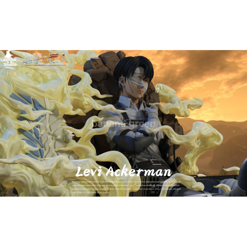 (현물)진격의거인(Freedom STUDIO) 병장 리바이 아커만 한정판 레진 피규어
