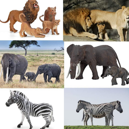 BOLZRA 사파리와 정글 현실적인 동물 피규어 장난감 14피스