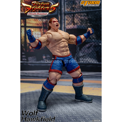 Storm Toys Virtua Fighter VR WOLF HAWKFIELD 볼프 피규어 1/12