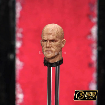 (출시) 플래시백 스튜디오 데드풀 웨이드 윌슨 피규어 커스텀 남성 헤드 1/12