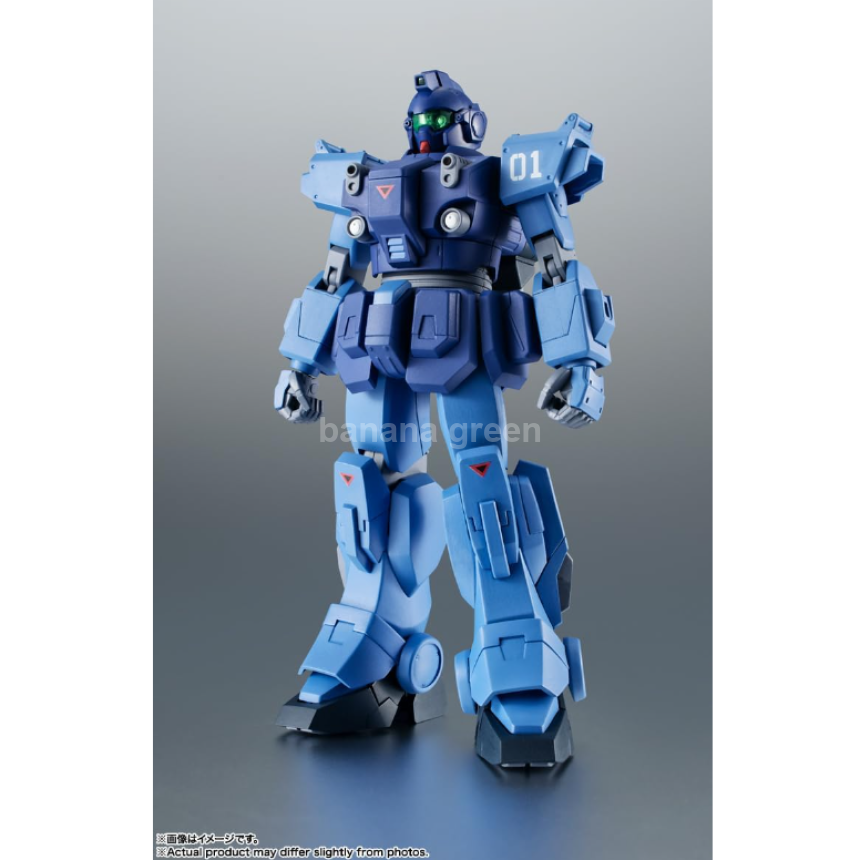 ROBOT혼 SIDE MS 기동전사 건담 외전 더 블루 데스티니 RX-79BD-1 1호기