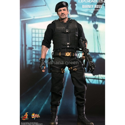 핫토이 HOTTOYS MMS194 익스펜더블2 1/6 바니로스