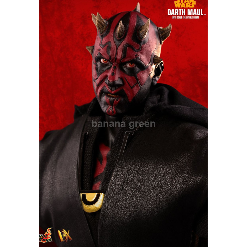 핫토이 HOTTOYS DX18 한솔로 스타워즈 스토리 1/6 다스몰