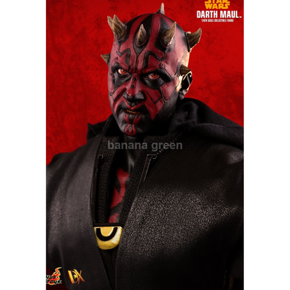 핫토이 HOTTOYS DX18 한솔로 스타워즈 스토리 1/6 다스몰