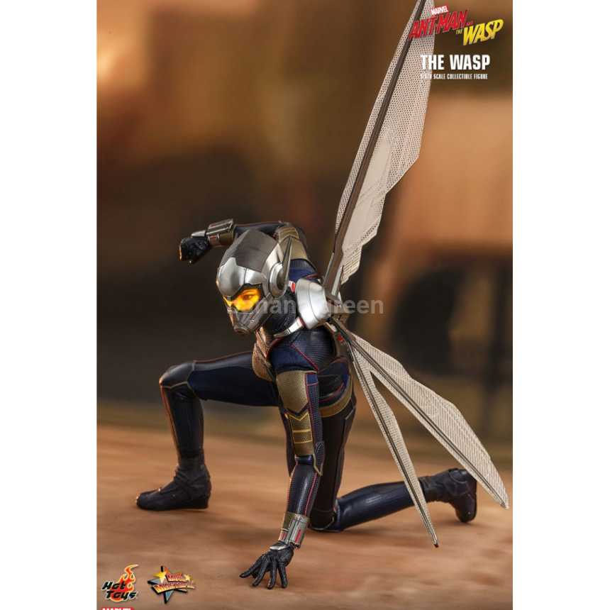 핫토이 HOTTOYS MMS498 앤트맨2 1/6 WASP 와스프