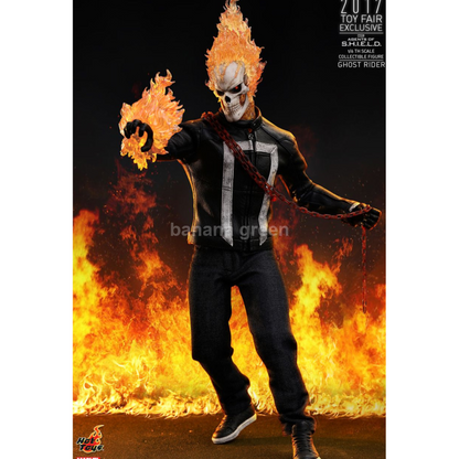 핫토이 Hottoys TMS005 에이전트 오브 쉴드 1/6 고스트라이더