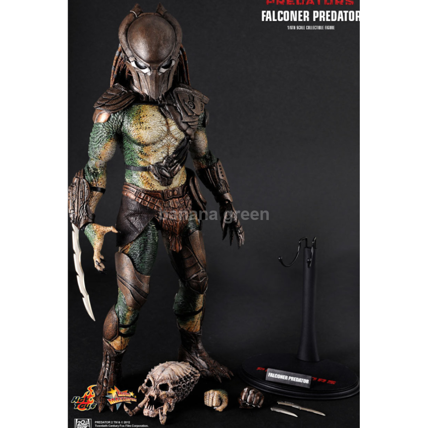 핫토이 HOTTOYS MMS137 1/6 팔코너 프레데터