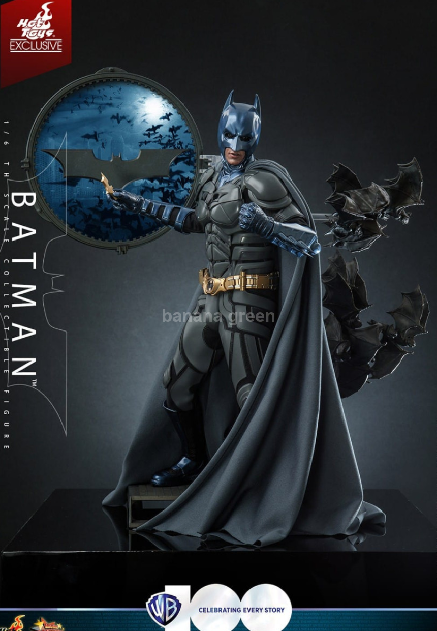 핫토이 MMS697 다크나이트 배트맨 WB100주년 1/6 Hot Toys 피규어