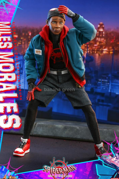 HOTTOYS MMS567 핫토이 스파이더맨 마일스 모랄레스 1/6 피규어