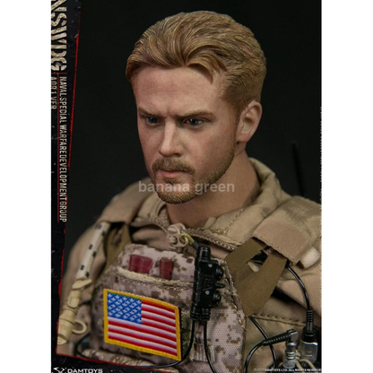 DAMTOYS 78065 댐토이 NSWDG AOR1 1/6 12인치