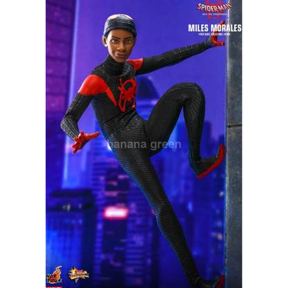 핫토이 HOTTOYS MMS567 스파이더맨 뉴유니버스 1/6 마일즈모랄레스