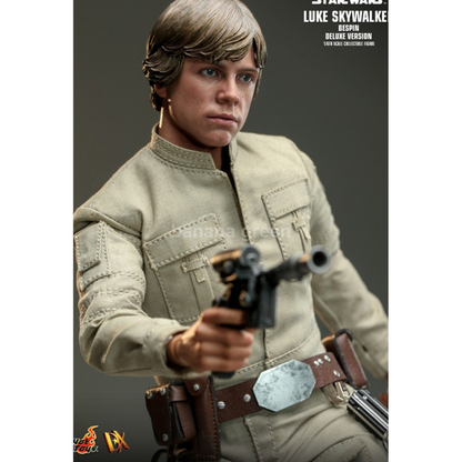 핫토이 Hottoys DX25 스타워즈 1/6 루크 스카이워커 BESPIN 디럭스