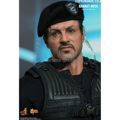 핫토이 HOTTOYS MMS194 익스펜더블2 1/6 바니로스