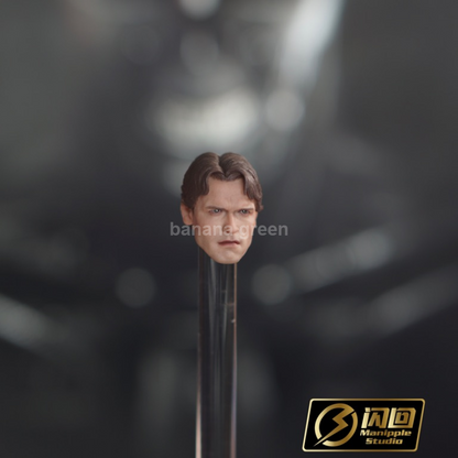 (출시) 플래시백 스튜디오 아놀드 슈워제네거 T800 피규어 커스텀 남성 헤드 1/12