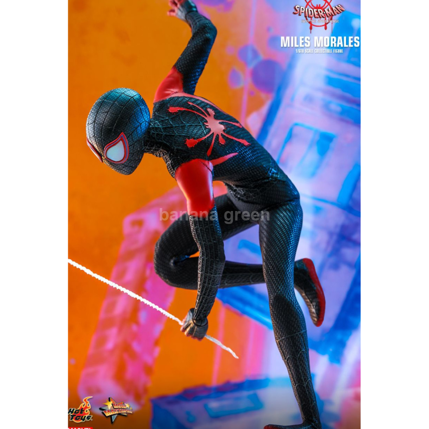 핫토이 HOTTOYS MMS567 스파이더맨 뉴유니버스 1/6 마일즈모랄레스