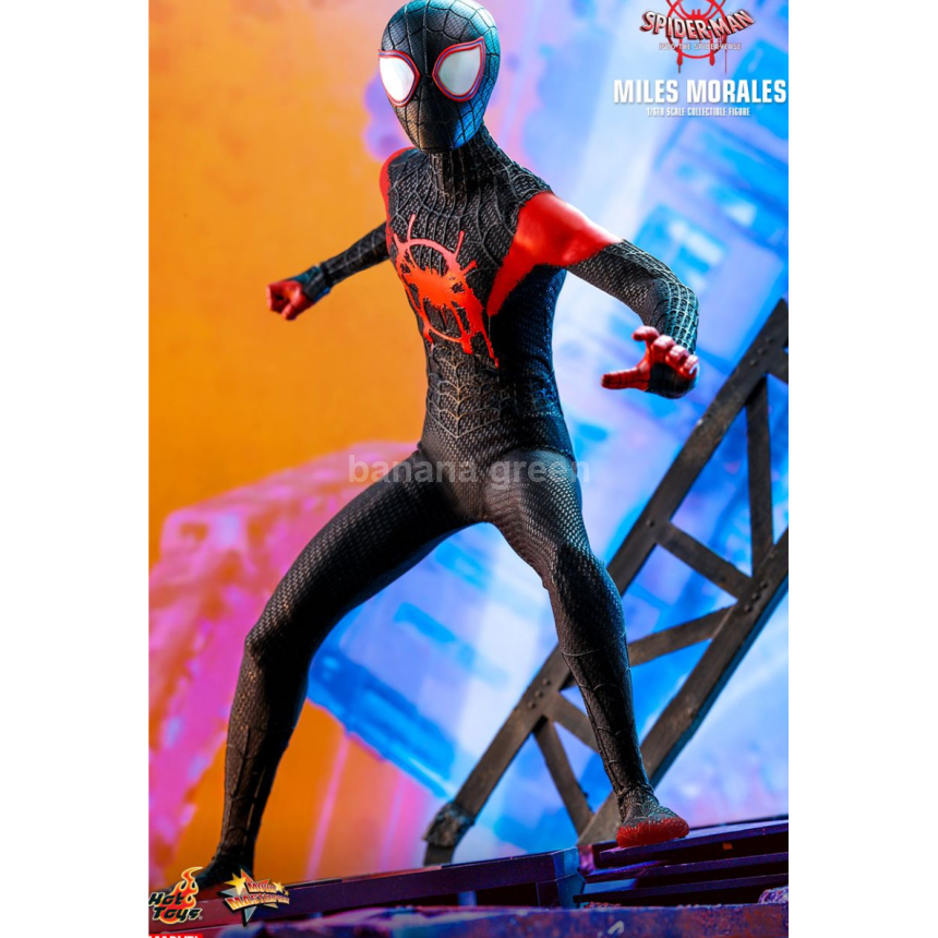 핫토이 HOTTOYS MMS567 스파이더맨 뉴유니버스 1/6 마일즈모랄레스