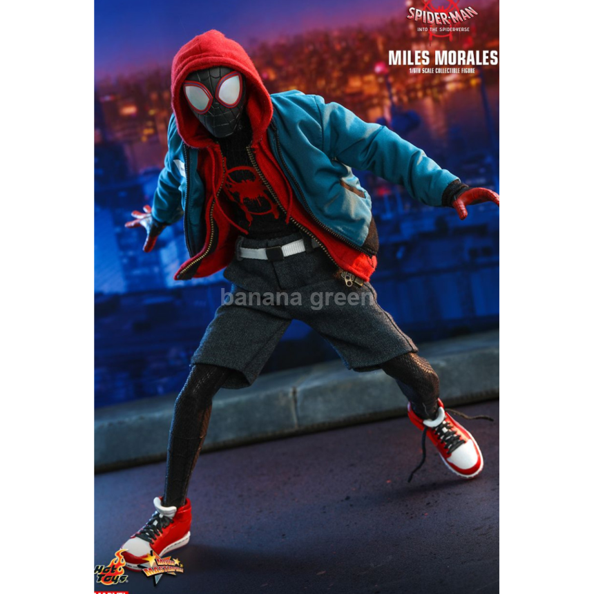 핫토이 HOTTOYS MMS567 스파이더맨 뉴유니버스 1/6 마일즈모랄레스