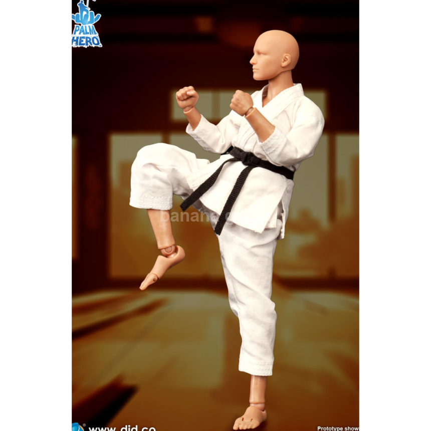 DID SF80001 Simply Fun 1/12 가라데 플레이어
