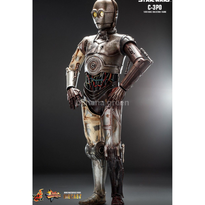 핫토이 Hottoys MMS650D46 스타워즈 클론의습격 1/6 C-3PO