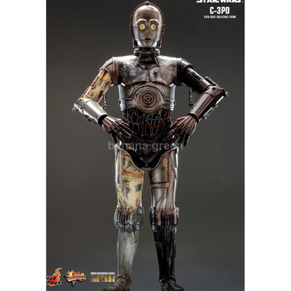 핫토이 Hottoys MMS650D46 스타워즈 클론의습격 1/6 C-3PO