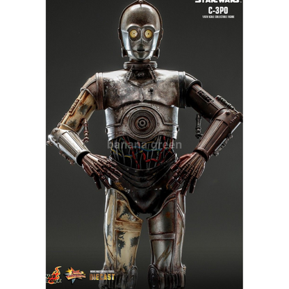 핫토이 Hottoys MMS650D46 스타워즈 클론의습격 1/6 C-3PO