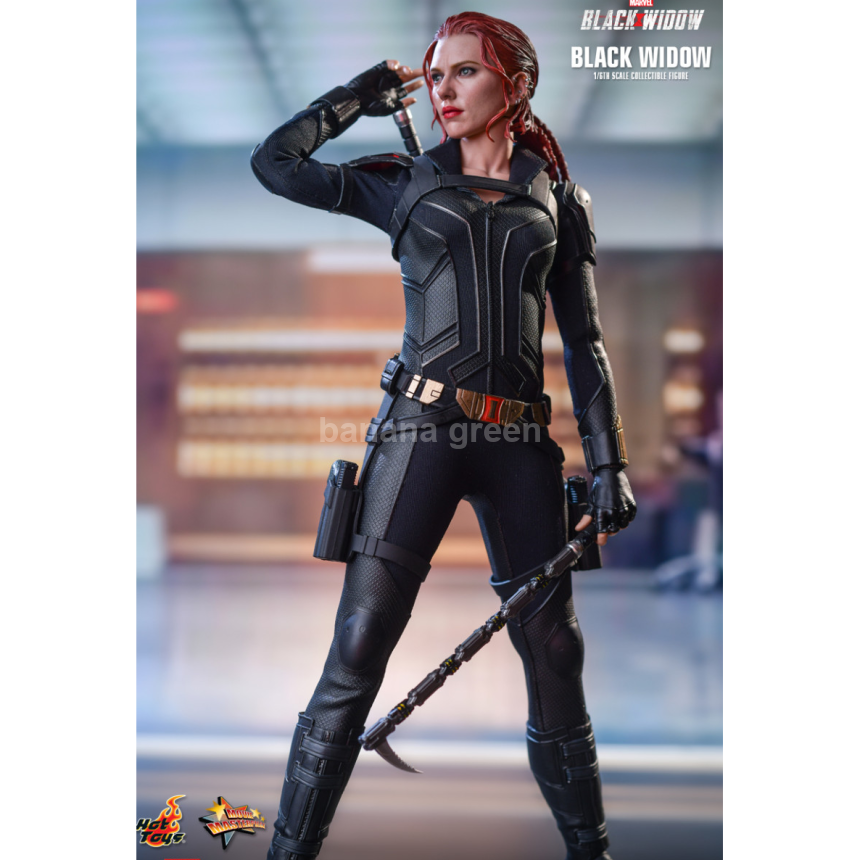 핫토이 Hottoys MMS603 마블 1/6 블랙위도우