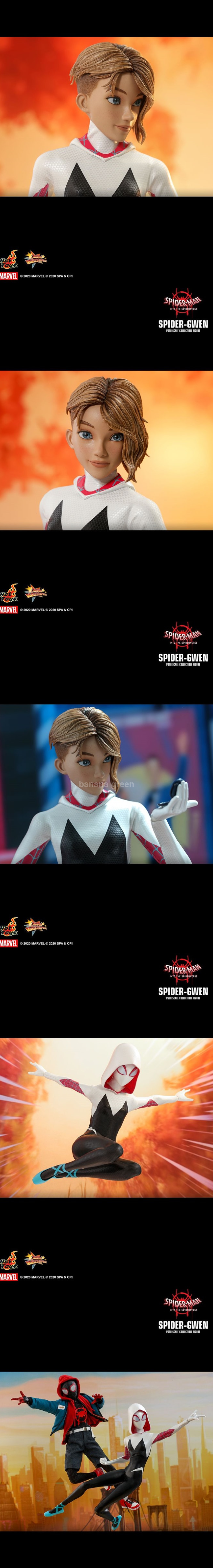 핫토이 1/6 스파이더맨 뉴 유니버스 스파이더 그웬 HOT TOYS MMS576 Spider Gwen