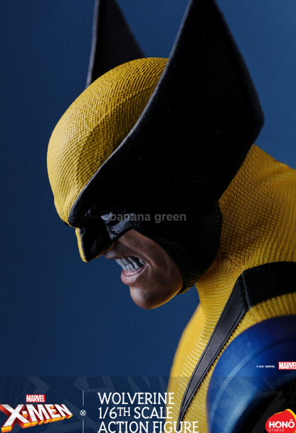 Hono Studio HS01 울버린- 엑스맨 X-Men 1/6 피규어