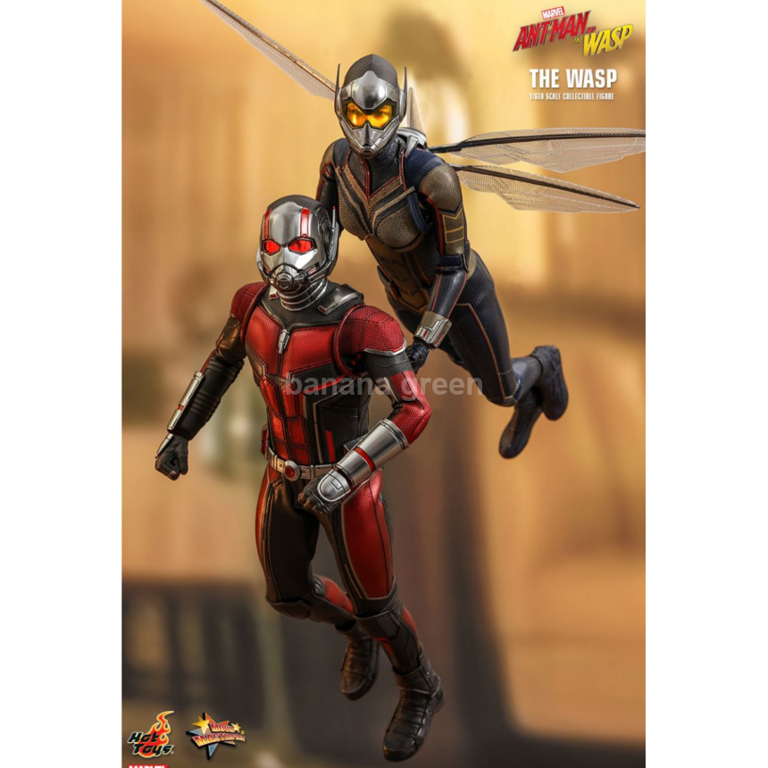 핫토이 HOTTOYS MMS498 앤트맨2 1/6 WASP 와스프