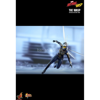 핫토이 HOTTOYS MMS498 앤트맨2 1/6 WASP 와스프