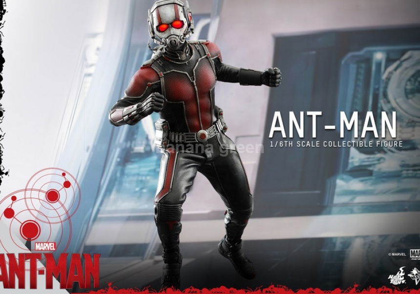 핫토이 앤트맨1.0 스캇랭 HotToys mms308