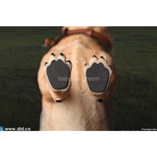 DID AS003 1/6 독일 세퍼트 경찰견