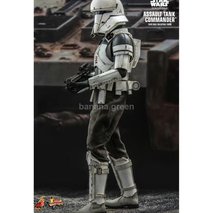 핫토이 HOTTOYS MMS587 스타워즈 로그원 1/6 어설트 탱크 커맨더