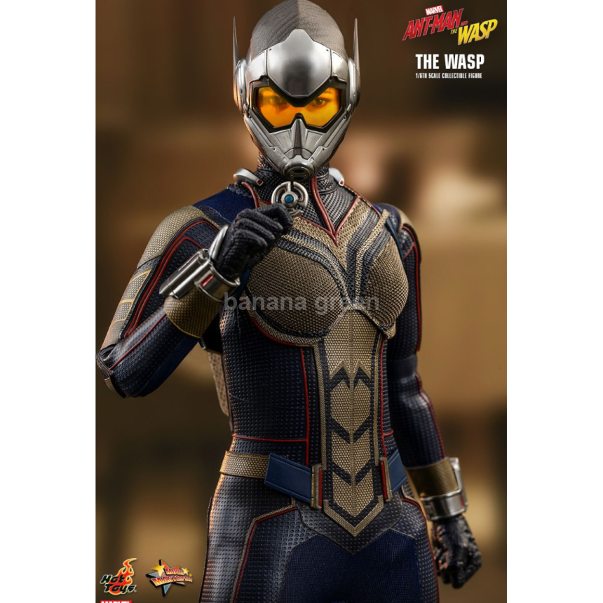 핫토이 HOTTOYS MMS498 앤트맨2 1/6 WASP 와스프