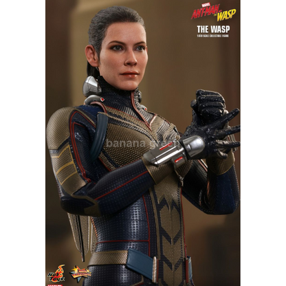 핫토이 HOTTOYS MMS498 앤트맨2 1/6 WASP 와스프