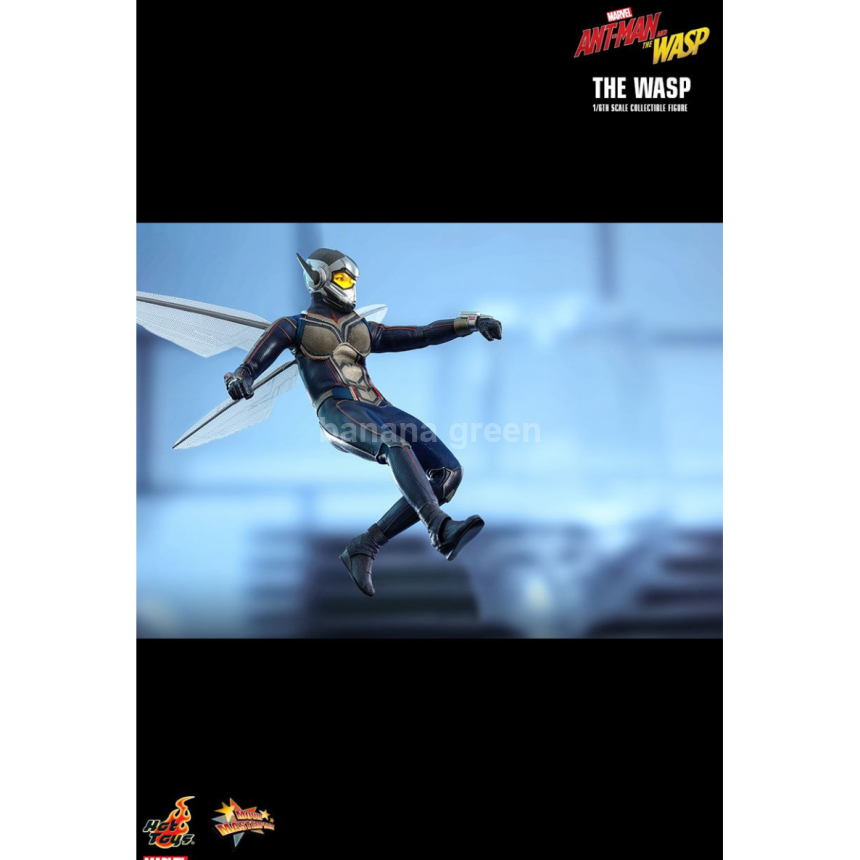 핫토이 HOTTOYS MMS498 앤트맨2 1/6 WASP 와스프