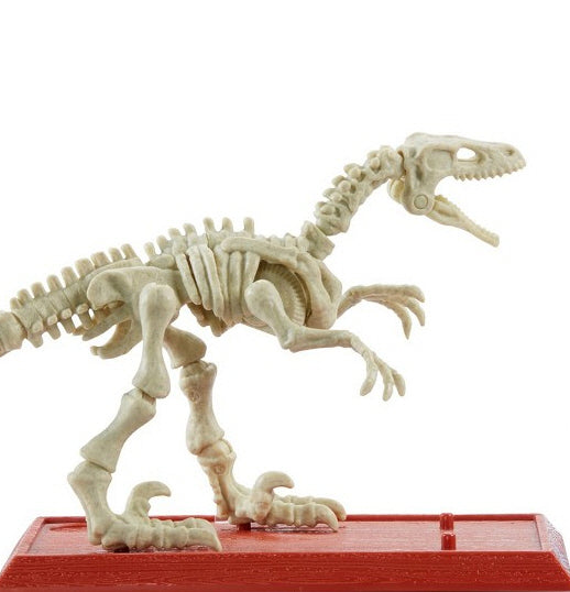 (2018 NEW) 쥬라기월드 폴른킹덤 공룡화석모형 벨로시랩터